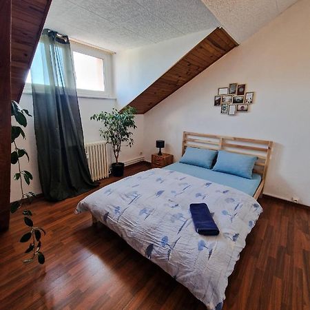 סאן לואיס Nice Room 4 Minutes From Basel Shared Apartment מראה חיצוני תמונה