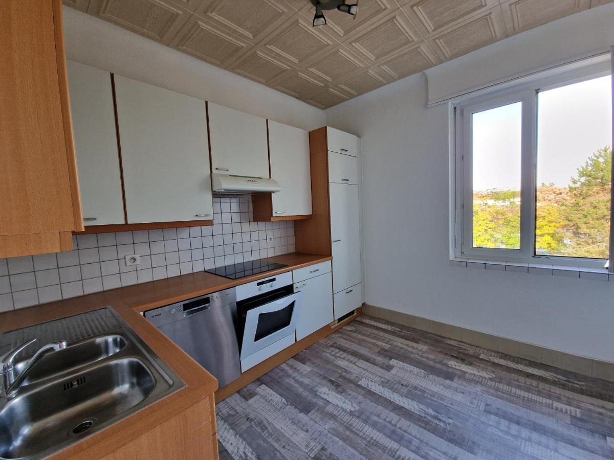 סאן לואיס Nice Room 4 Minutes From Basel Shared Apartment מראה חיצוני תמונה