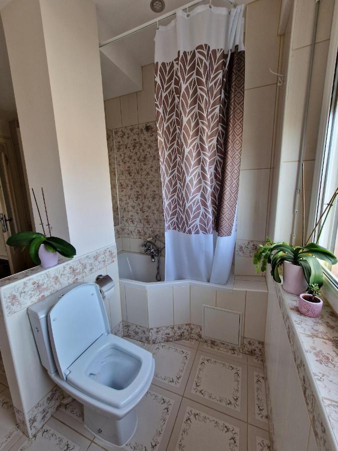 סאן לואיס Nice Room 4 Minutes From Basel Shared Apartment מראה חיצוני תמונה