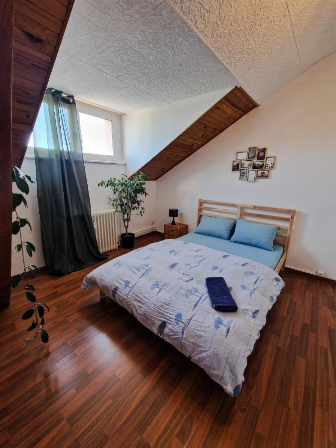 סאן לואיס Nice Room 4 Minutes From Basel Shared Apartment מראה חיצוני תמונה