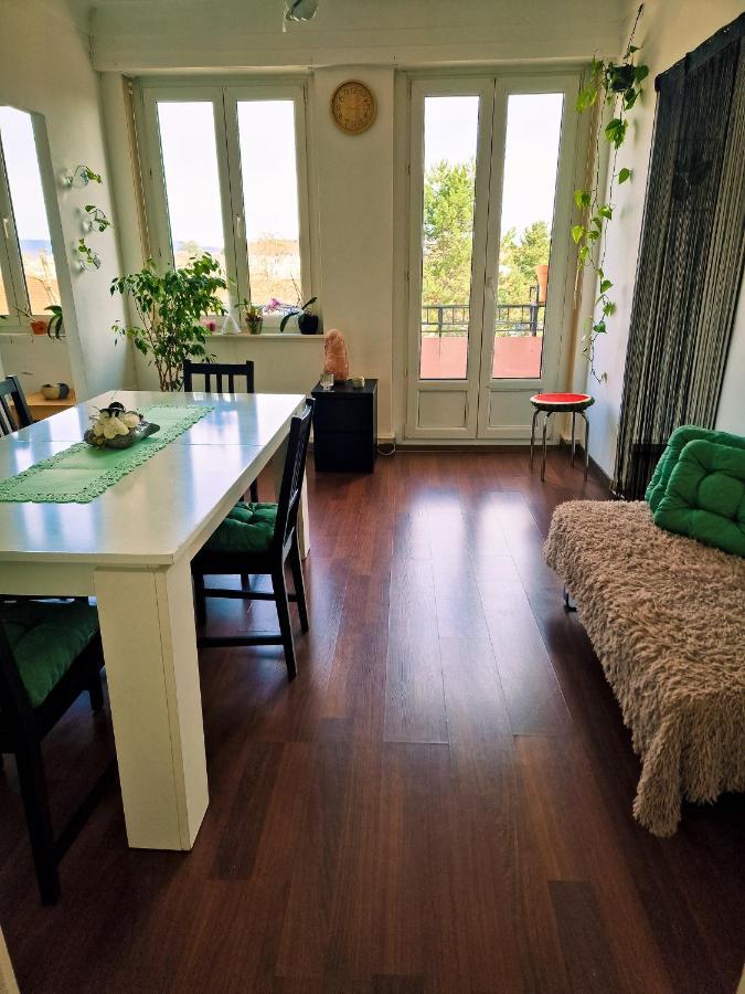 סאן לואיס Nice Room 4 Minutes From Basel Shared Apartment מראה חיצוני תמונה