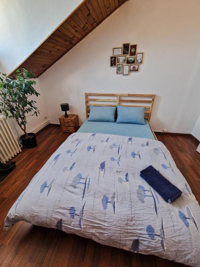 סאן לואיס Nice Room 4 Minutes From Basel Shared Apartment מראה חיצוני תמונה